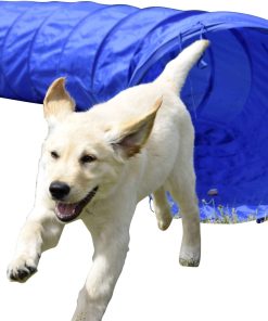Agility Tunnel zusammenfaltbarer Tunnel für Hundesport   versch. Größen