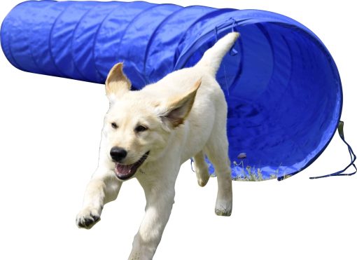 Agility Tunnel zusammenfaltbarer Tunnel für Hundesport   versch. Größen