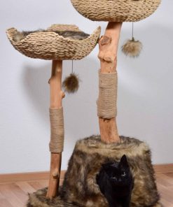 Design-Katzenmöbel "Tony"