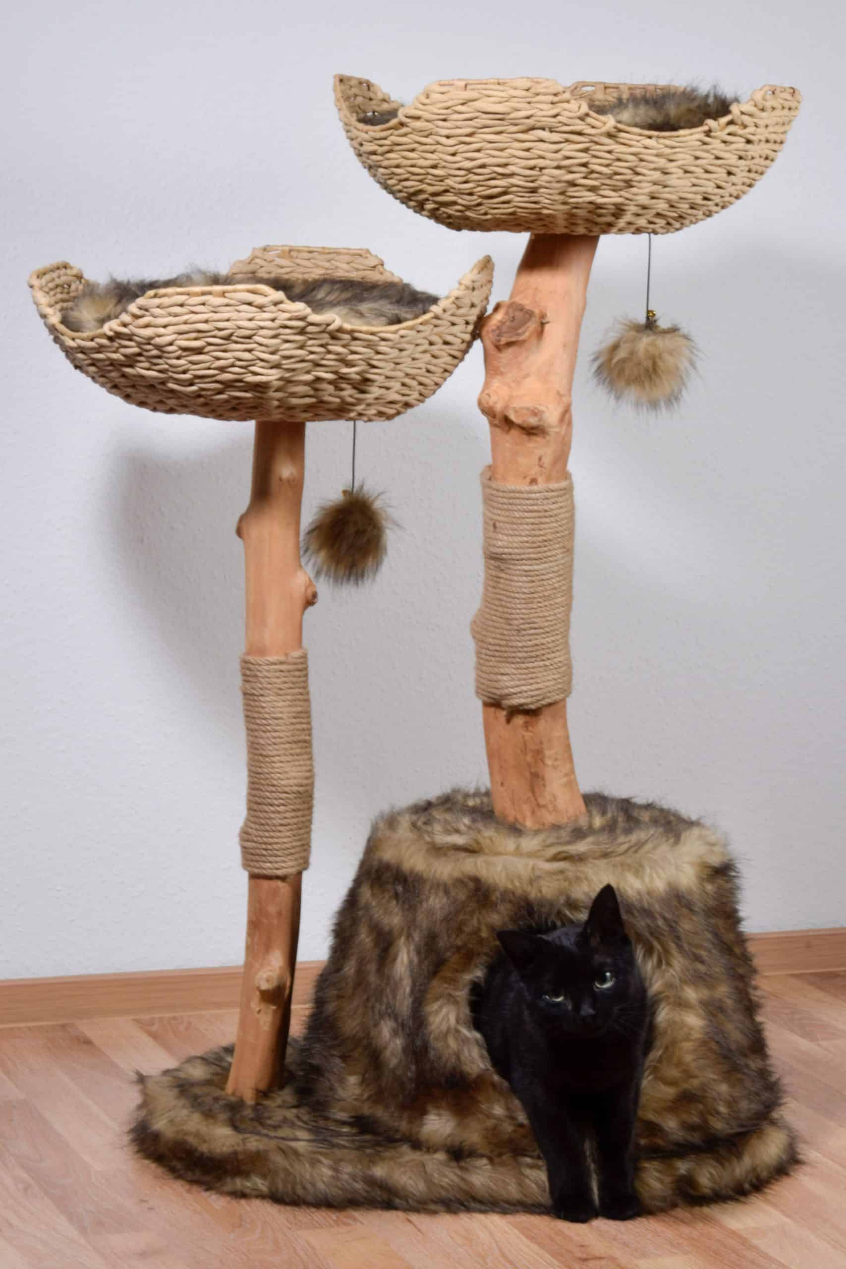 Design-Katzenmöbel "Tony"