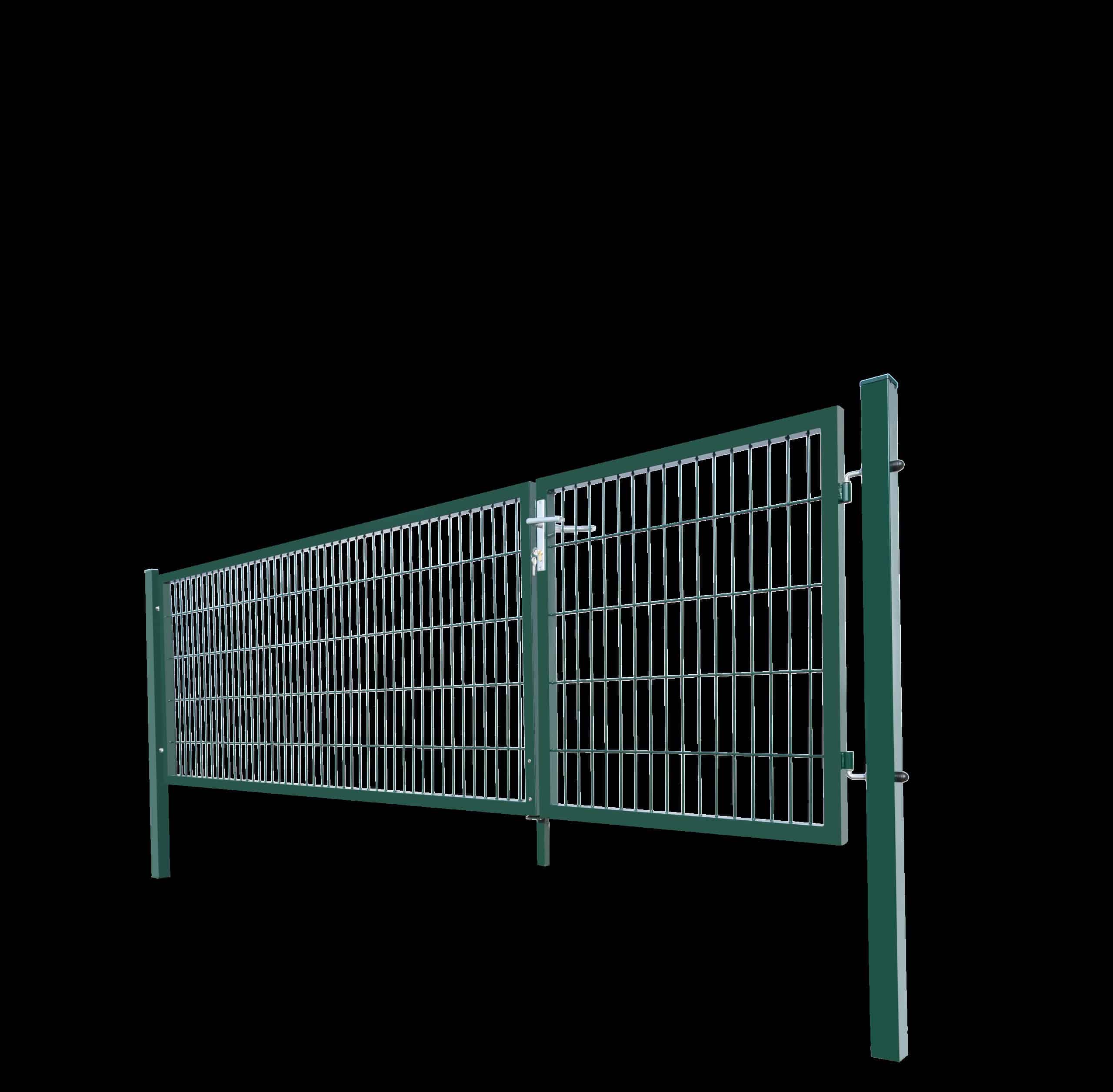 HOME DELUXE Doppelflügel Gartentor ADITUS grün 100 x 350 cm