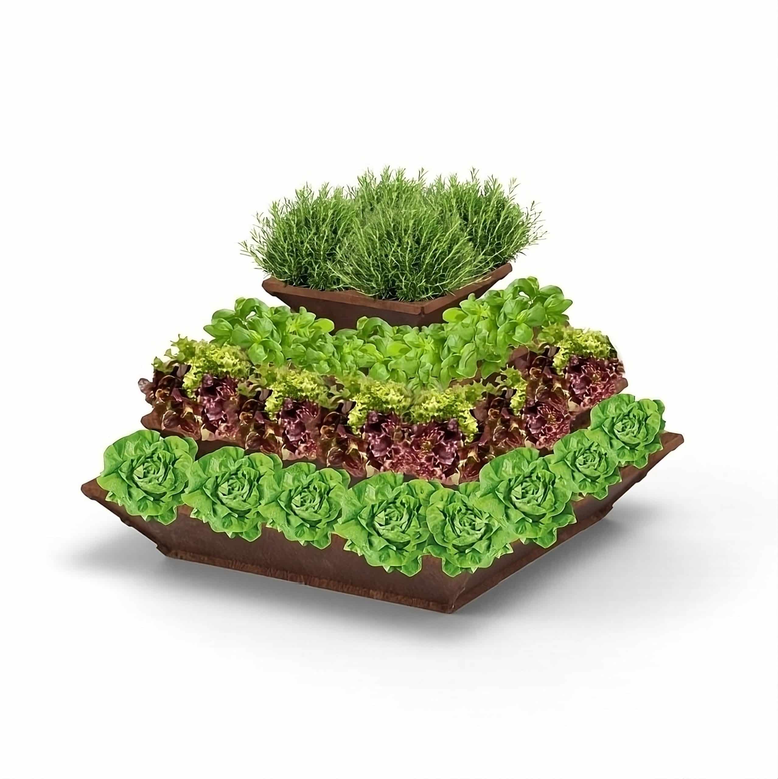 Hochbeet "HighBeet" Cleo 4 Ebenen