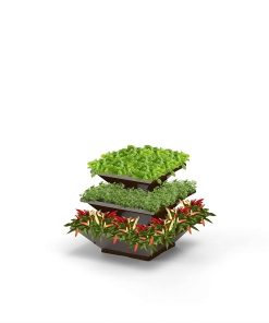 Hochbeet "HighBeet" Rock 3 Ebenen