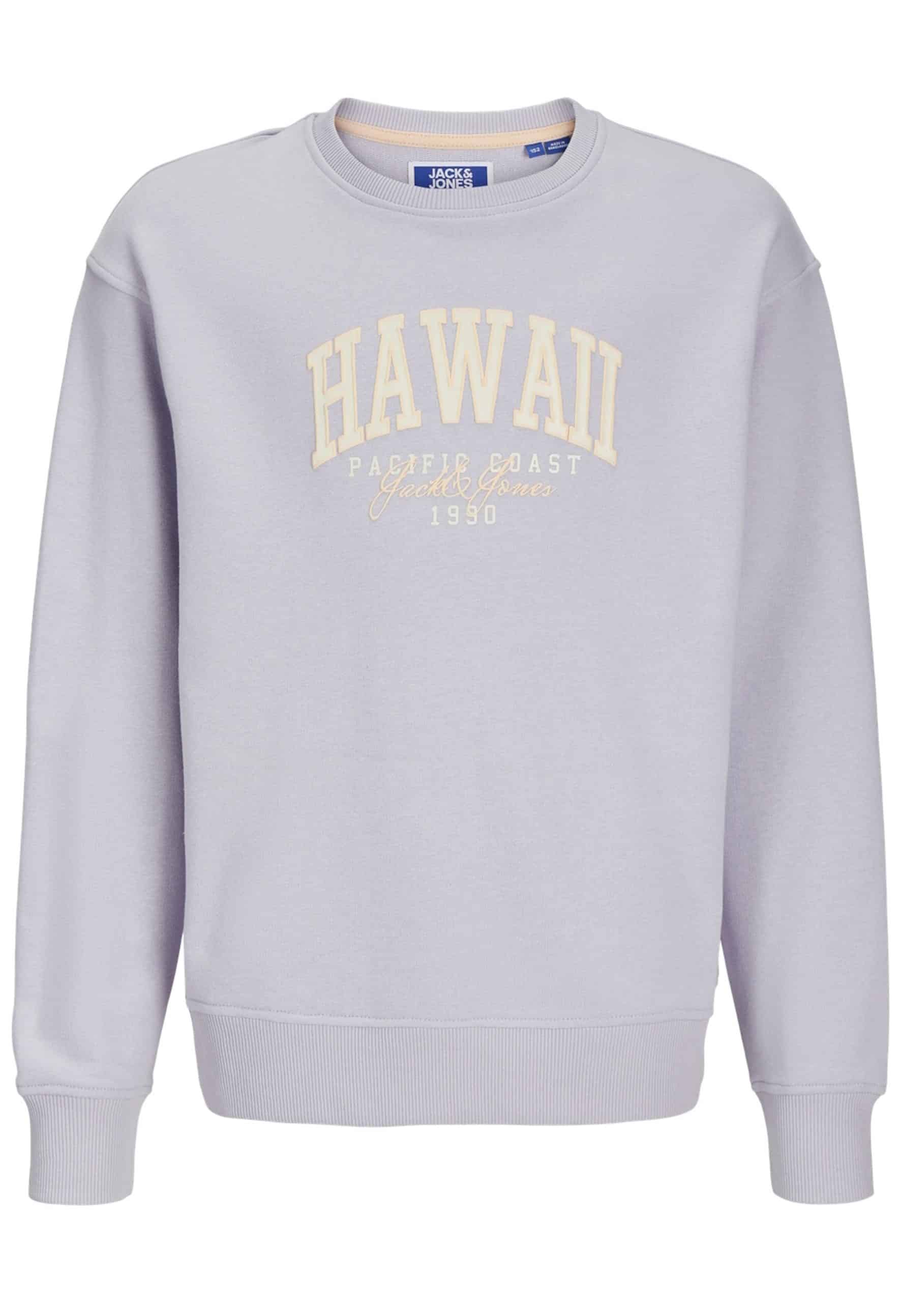 Jack & Jones Junior Pullover DETROIT Sweatshirt