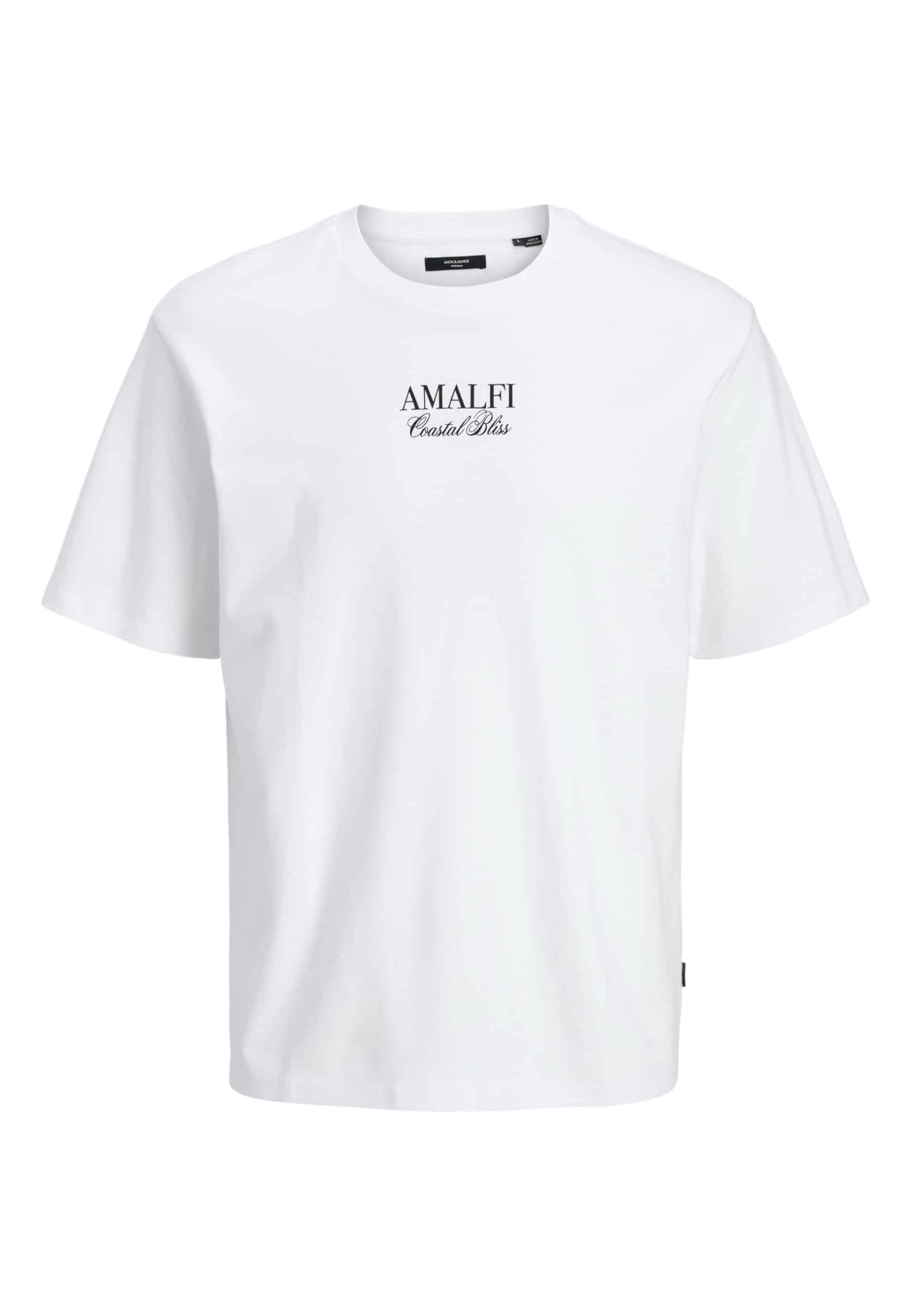 Jack & Jones T-Shirt DESTINATION Kurzarmshirt