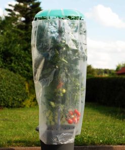 KHW-Tomatenhut-Set mit Pflanztopf