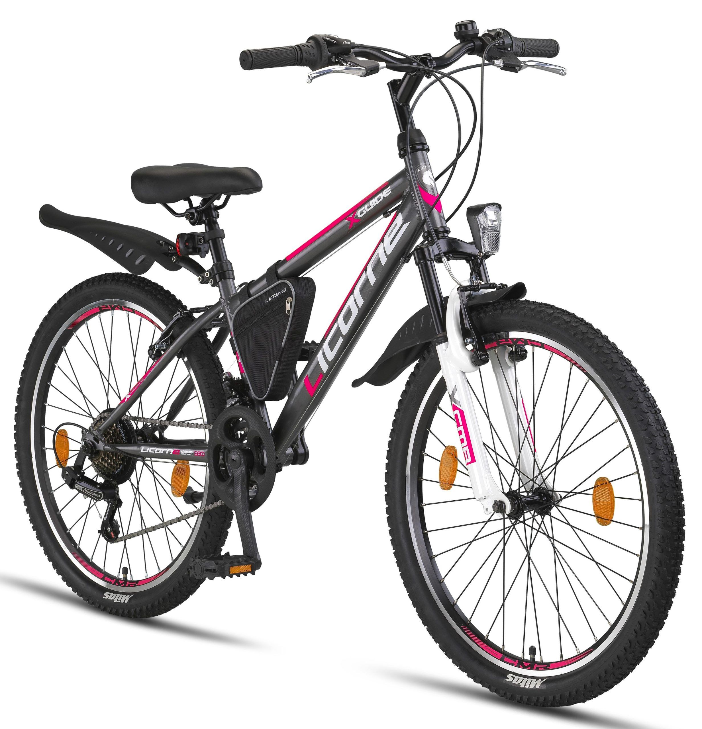 Licorne Bike Guide Premium Mountainbike in 20