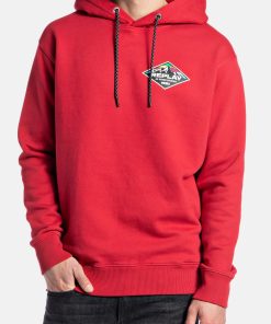 Replay Kapuzensweatshirt Hoodie mit Logoprint und Kapuze
