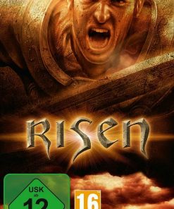 Risen Switch CIAB