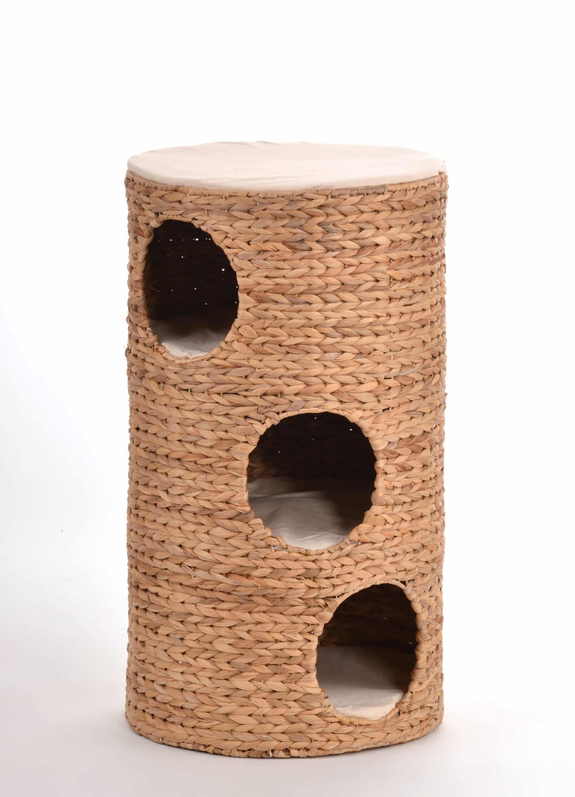 Rohrschneider Katzentonne Oxana