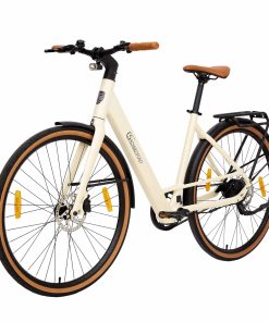SachsenRAD Urban City E-Bike C3F Roma