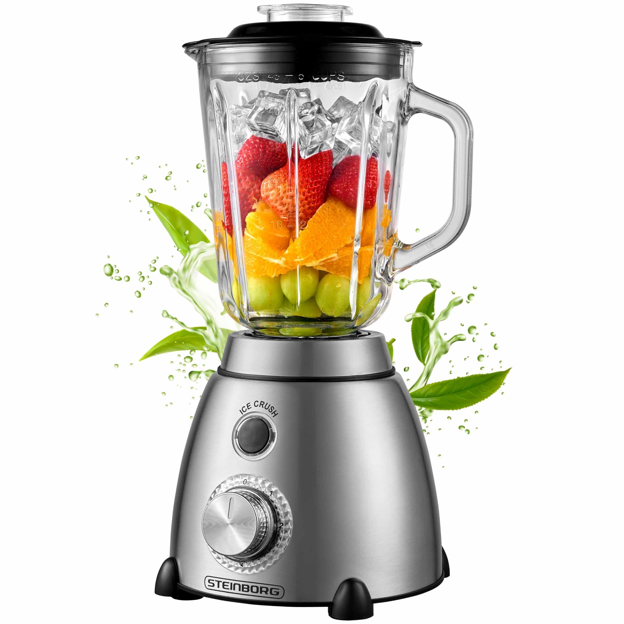 Steinborg Edelstahl Glas Standmixer 1.5L Glaskrug 2 Stufen+Puls 600W