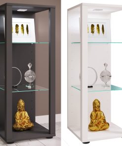 VCM Glasvitrine stehend   Vitrine Glas mit ESG-Sicherheitsglas   Maße ca. H. 90 x B. 35 x T. 35 cm   Standvitrine Glas   Modern und platzsparend   Glas Vitrinenschrank –  Glasol M