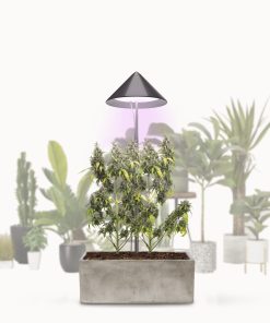 VENSO LED Pflanzenlampe Vollspektrum CANNA SUNLiTE