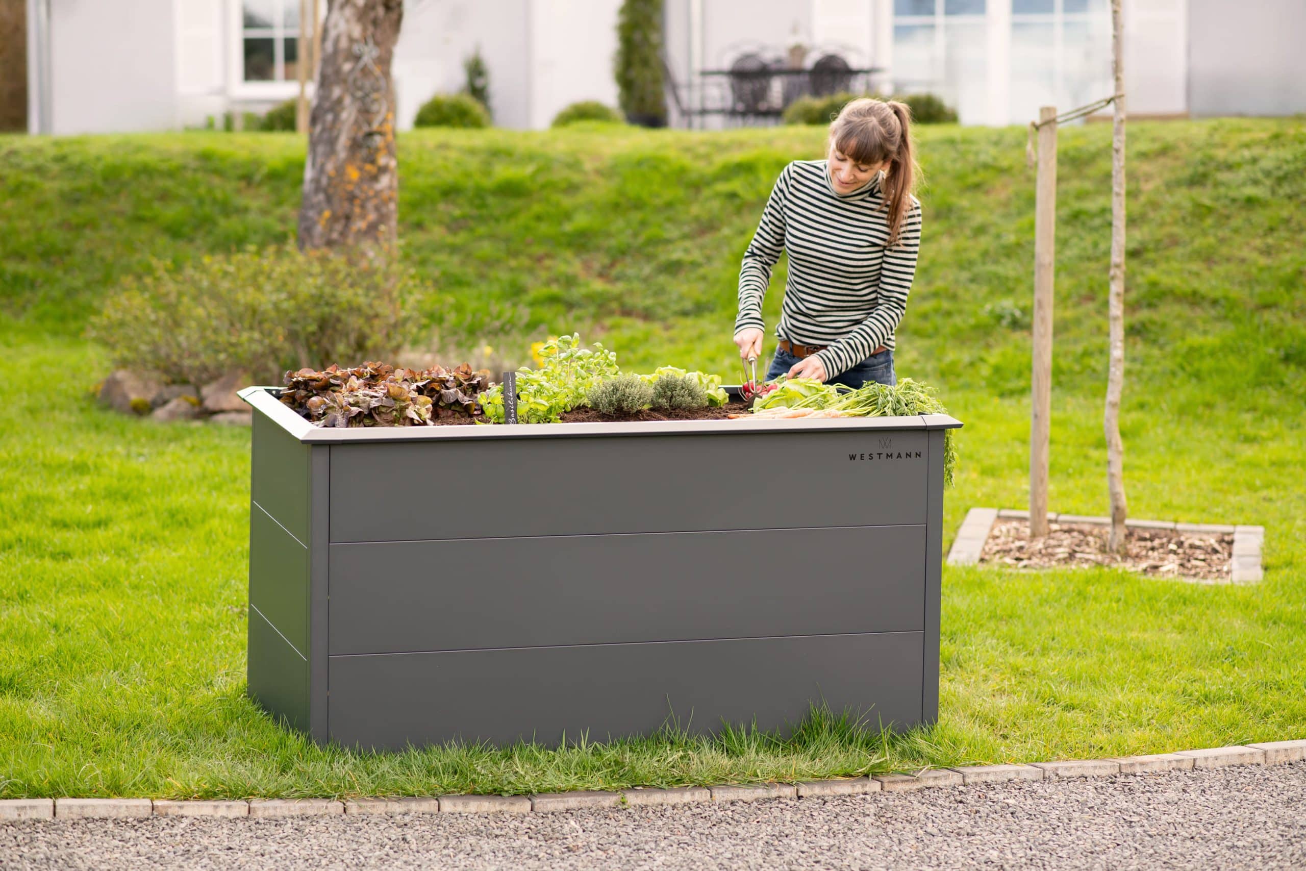 Westmann Hochbeet Primus L