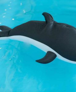 Westmann Pool Buddy versch. Ausführungen