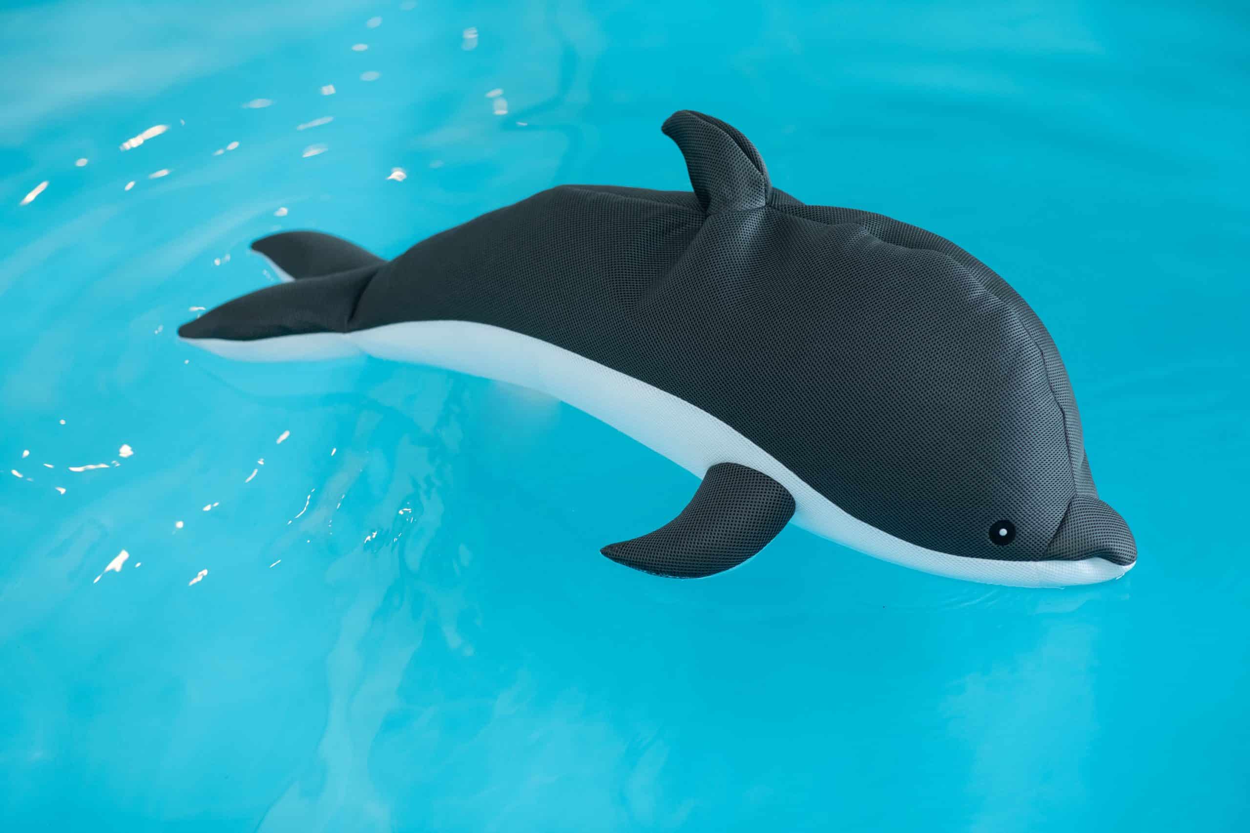 Westmann Pool Buddy versch. Ausführungen