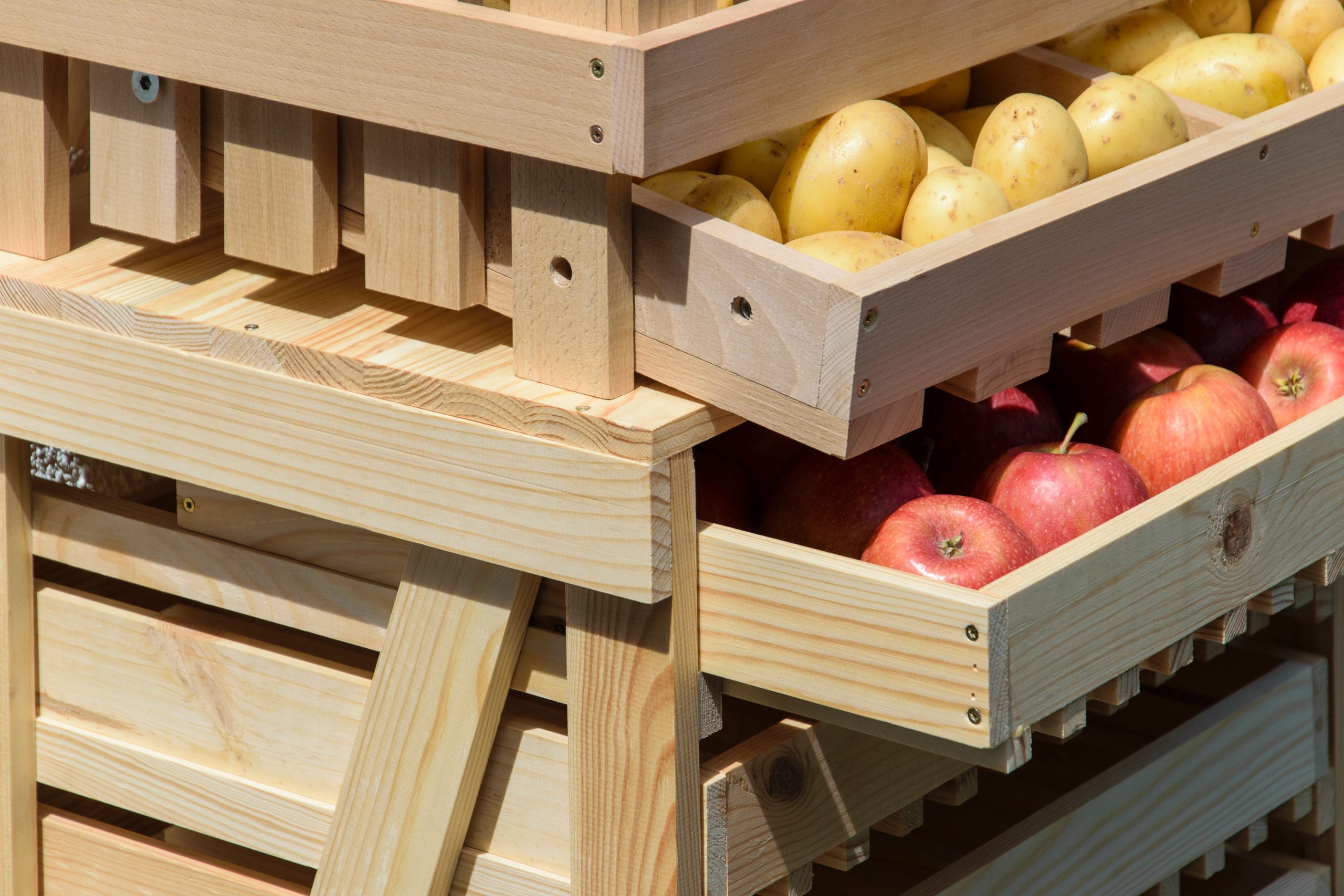 dobar Vorratsbehälter aus Holz - versch. Ausführungen