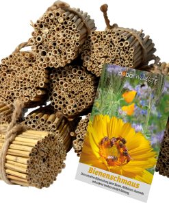 dobar green label Schilfrohrhalme-Set plus Samenmischung "Bienenschmaus"