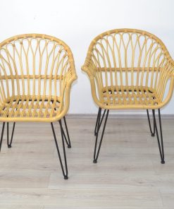 möbel direkt online Armlehnstuhl (2Stück) Sonja