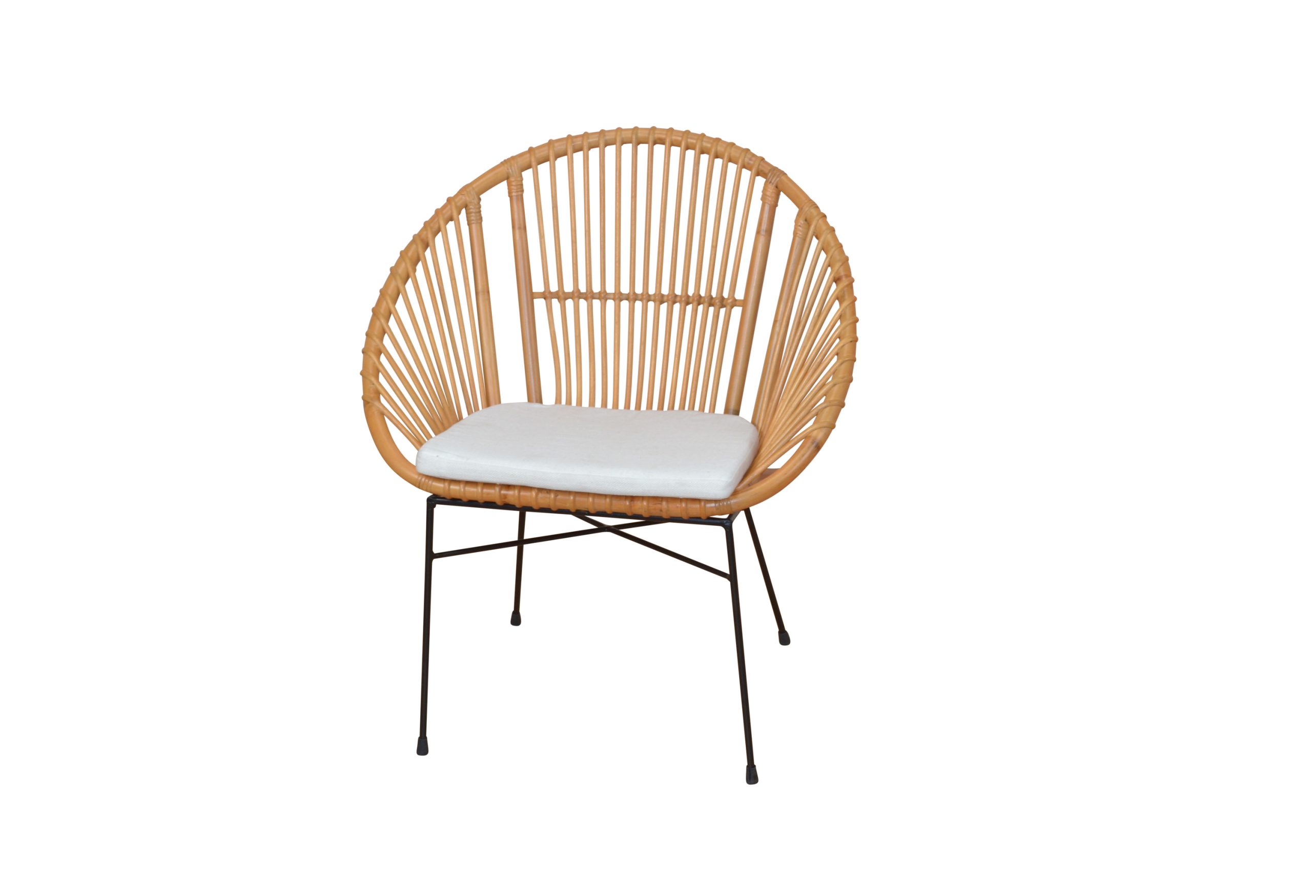 möbel direkt online Armlehnstuhl Dasy