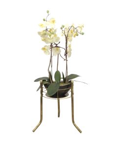 möbel direkt online Blumenständer Lina