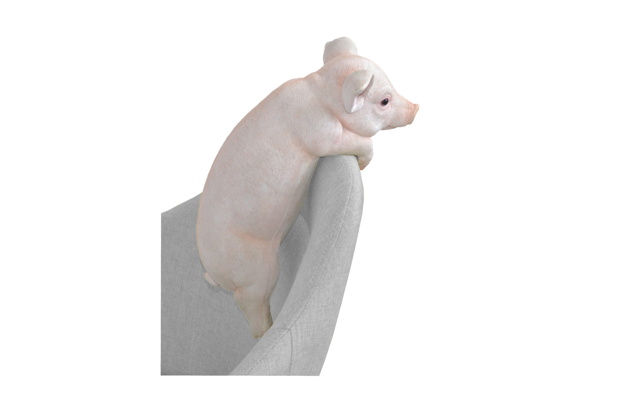 möbel direkt online Deko-Ferkel "Biggi"