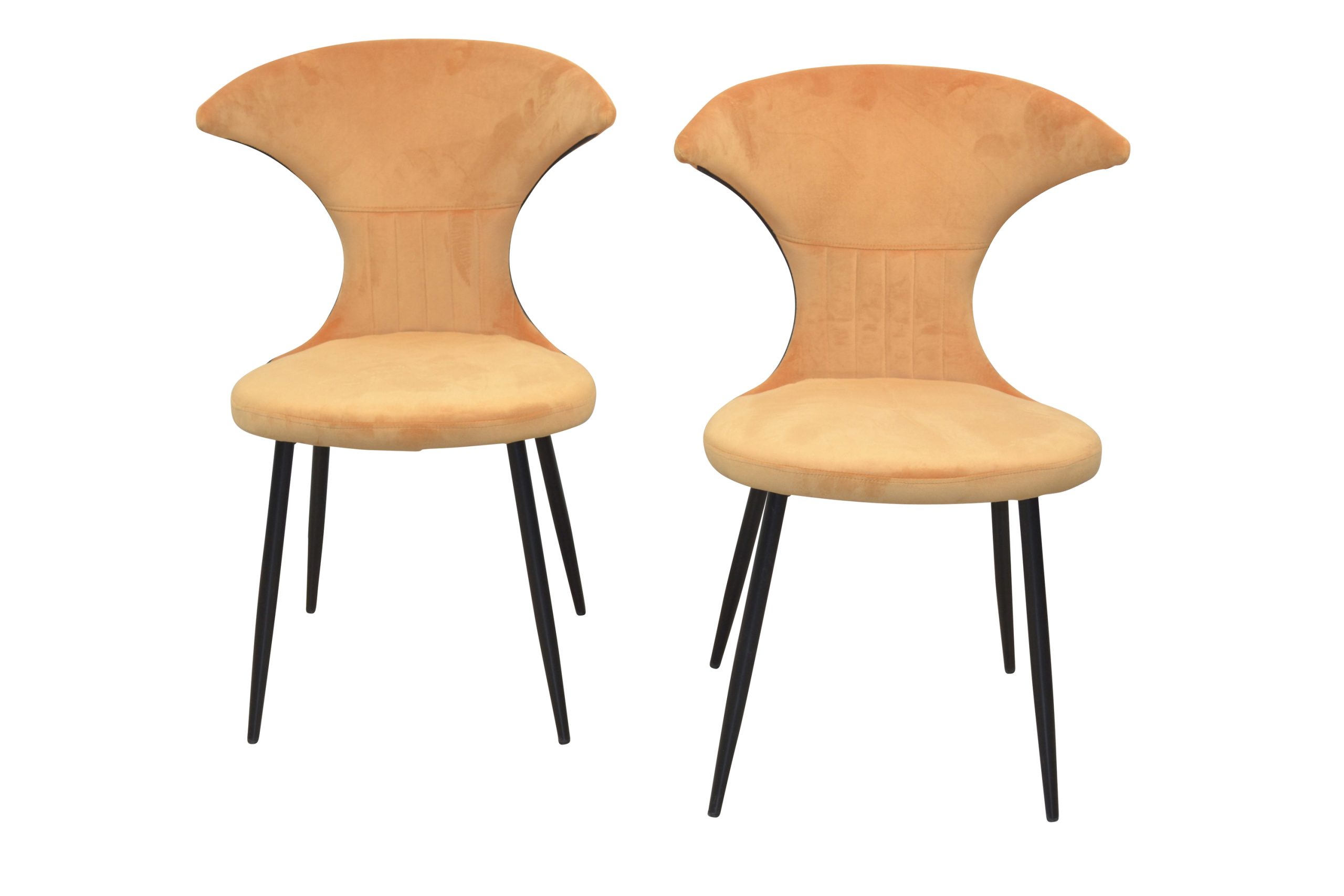 möbel direkt online Samt-Polsterstuhl (2Stück) Iris